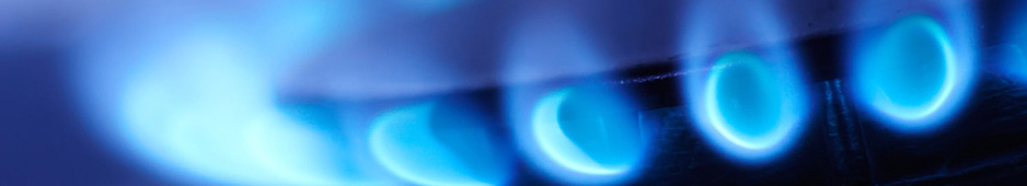 All State Propane - Terms of Use All State Propane - Terms of Use